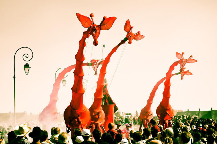 Passeurs de lumière : La Ville recherche des bénévoles pour participer à la parade « Les girafes » ! 