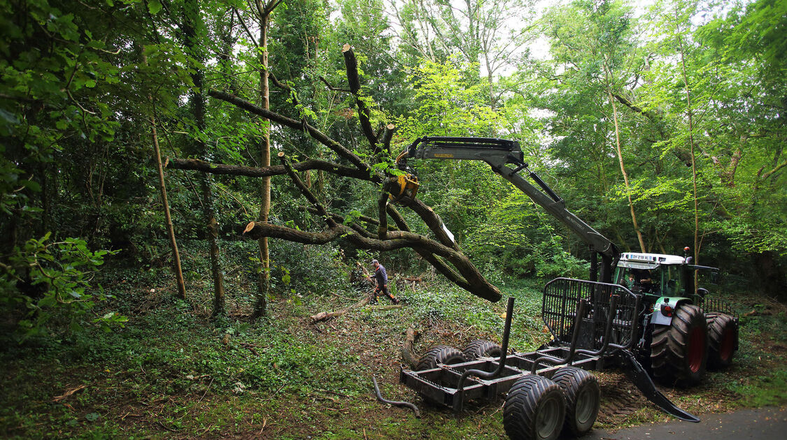 Travaux en cours de la végétalisation de l’école pauline Kergomard