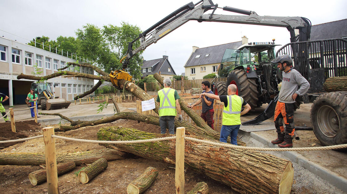 Travaux en cours de la végétalisation de l’école pauline Kergomard