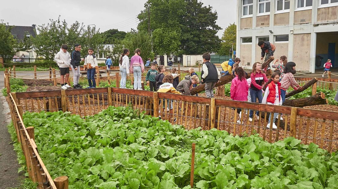 Rentrée scolaire 2024